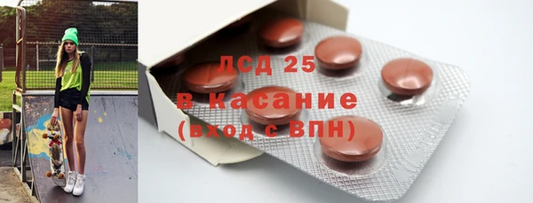 ПСИЛОЦИБИНОВЫЕ ГРИБЫ Осташков