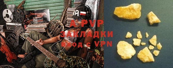 ПСИЛОЦИБИНОВЫЕ ГРИБЫ Осташков
