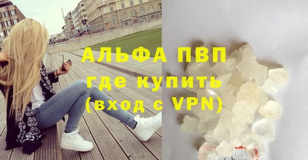 ПСИЛОЦИБИНОВЫЕ ГРИБЫ Осташков