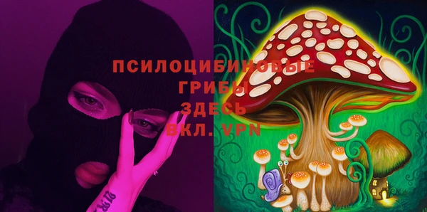 ПСИЛОЦИБИНОВЫЕ ГРИБЫ Осташков