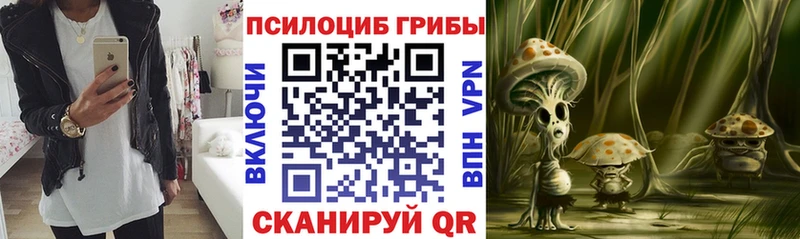 Галлюциногенные грибы мицелий  Петров Вал 